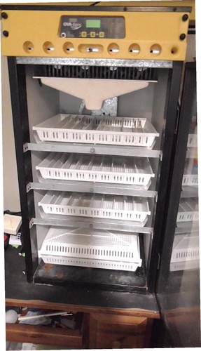 Brinsea incubator ova easy 190 - incubator, ova-easy