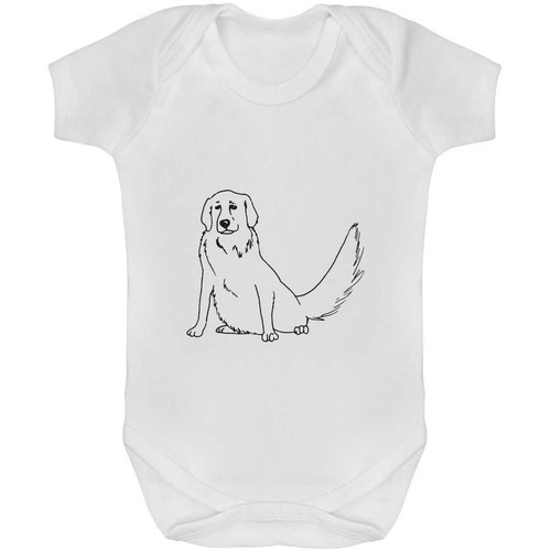 Golden retriever dog baby - 'golden,