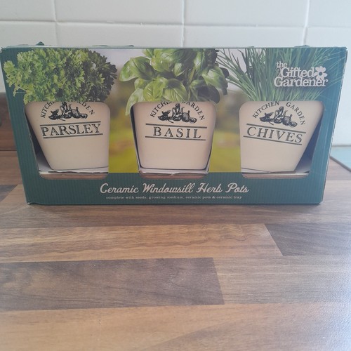 Ceramic herb pots planter - ceramic,