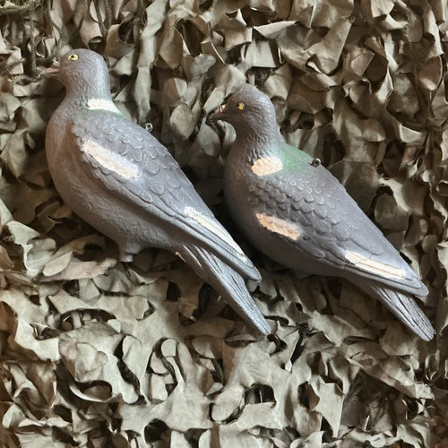Full bodied pigeon - full,