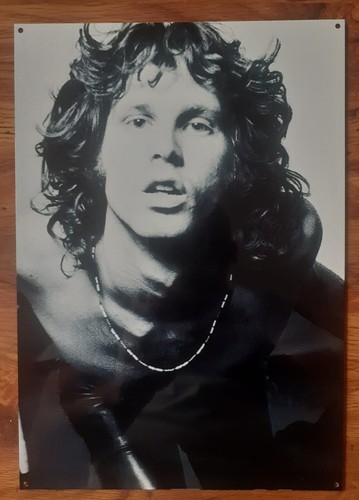 Jim morrison the doors - morrison,