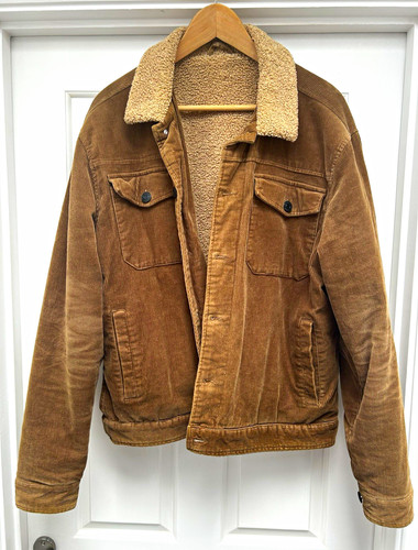 Next men brown - men's, corduroy