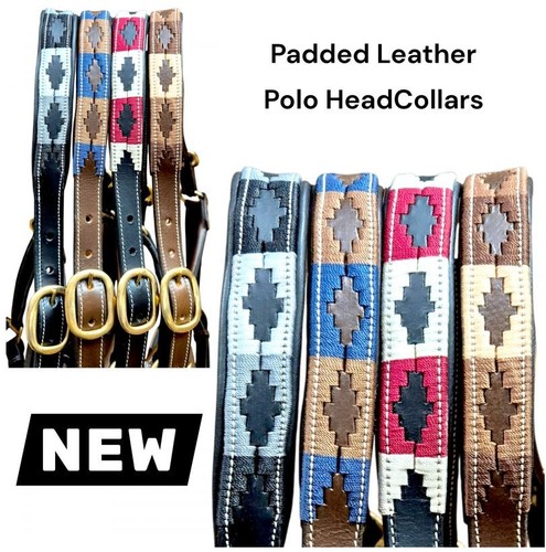 Polo quality head collar - head,