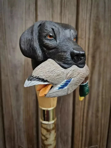 Wooden walking stick - , hand