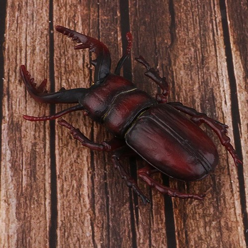Simulation animals model - simulation,