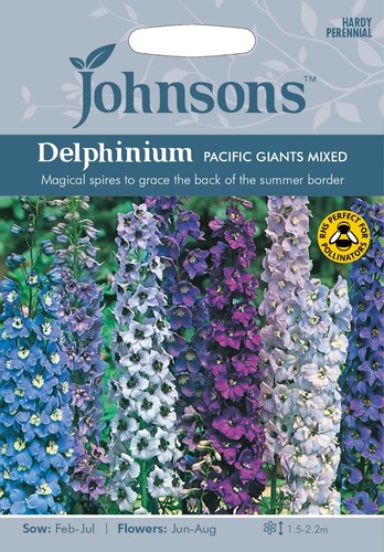 Delphinium pacific giants - 'pacific,