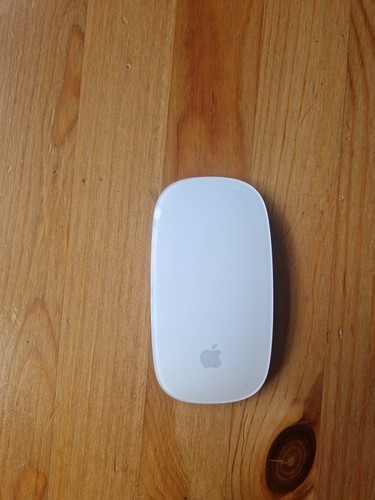 Apple magic mouse 1st - apple,