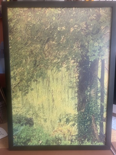 Weeping willow water - willow, a