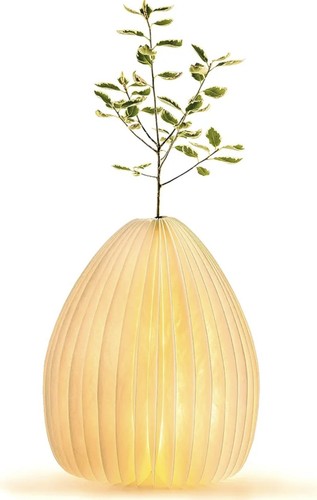 Gingko smart vase led - smart,