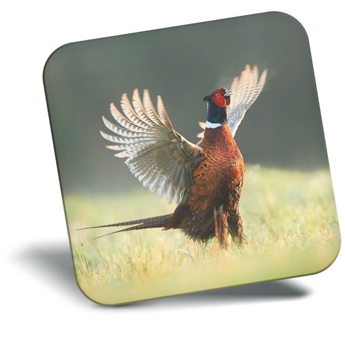 Awesome fridge magnet - -, male