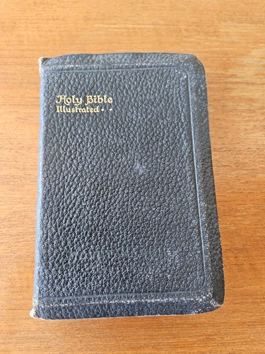 Antique kjv illustrated bible - kjv,