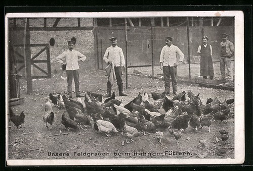 Postcard world war - postcard, our