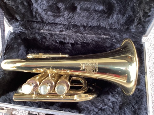 Pocket trumpet bargain - trumpet,