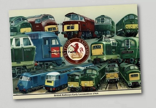 Fridge magnet class 28 - br, 23
