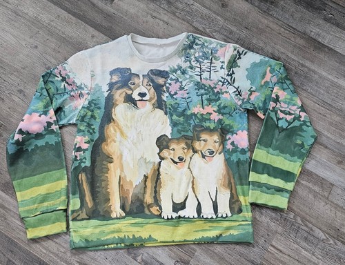 Shetland sheepdog sheltie - shetland,