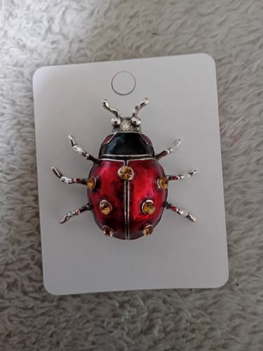 Lady bird brooch - bird,