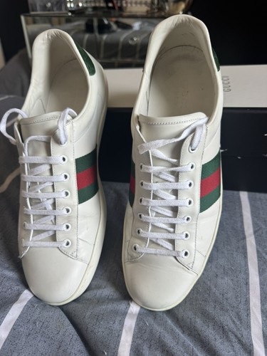 Gucci ace crocodile trend - crocodile,