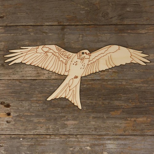 10x wooden soring - wooden, kite
