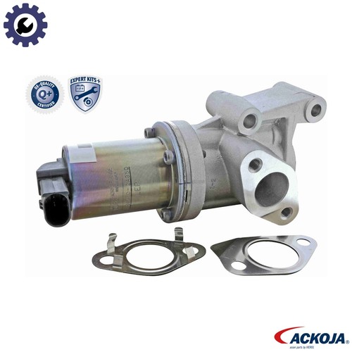 Valve exhaust gas - exhaust,