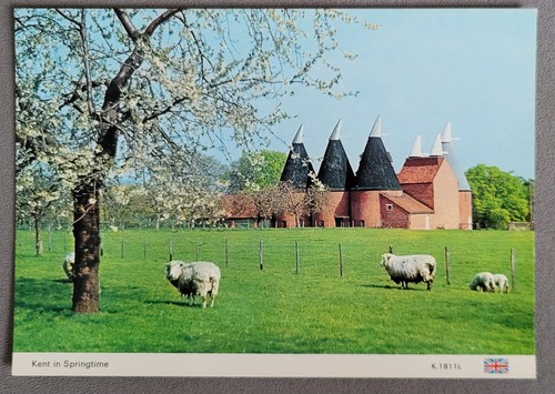 Vintage postcard unused - vintage,