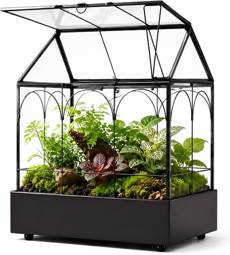 Large tall glass plant - large,