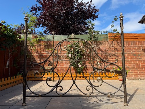 Striking forged iron ornate - striking,
