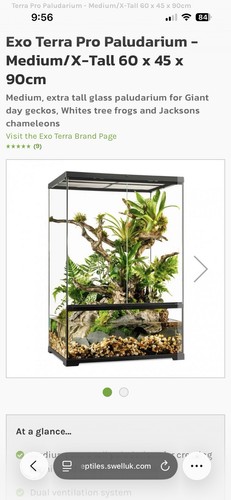 Exo terra paludarium reptile - terra,