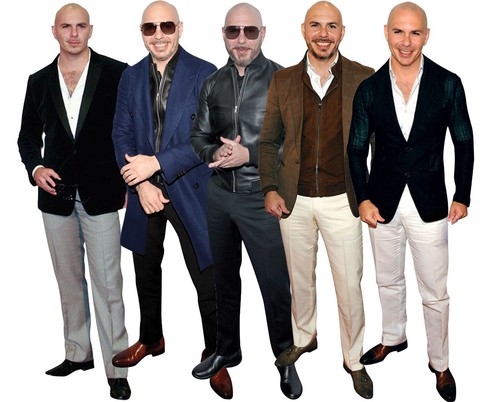 Pitbull life size celebrity - life,