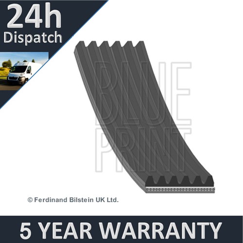 Fits suzuki baleno - fits,