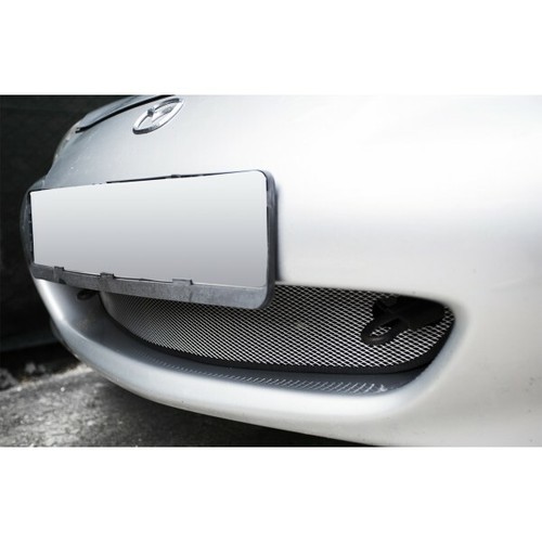 Front radiator grille - , mesh