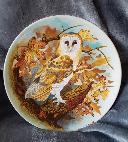 Vintage coalport barn owl wall - barn,