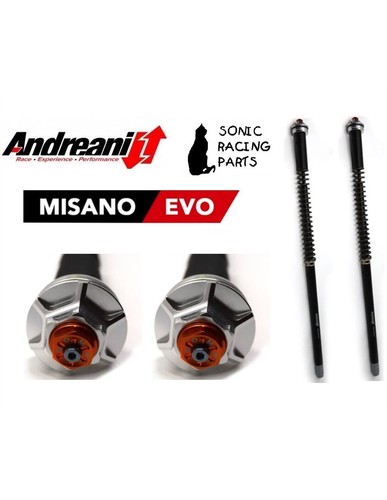 110 g01e andreani - andreani, evo