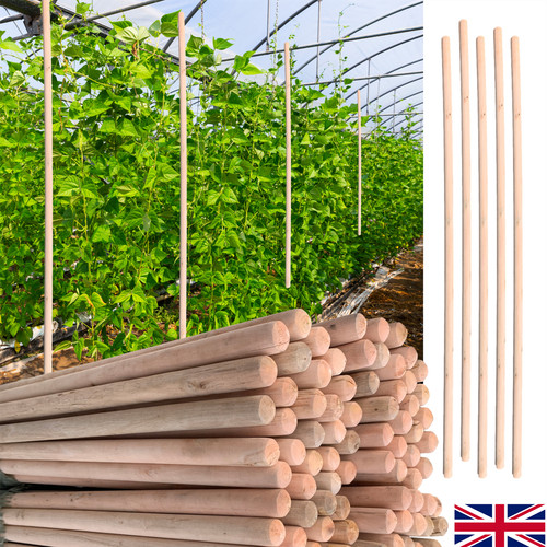 Pack 120cm wooden - 5,