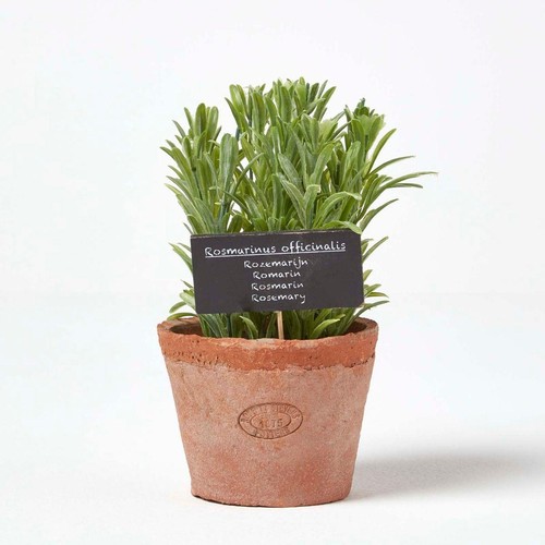Artificial rosemary plant - artificial,