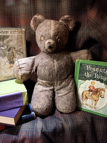 Vintage 1950 teddy bear - teddy,