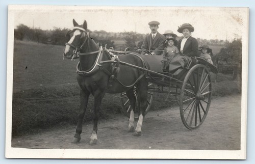 Postcard horse drawn carriage - postcard,