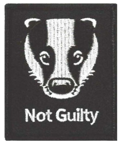 Badger not guilty - badger,