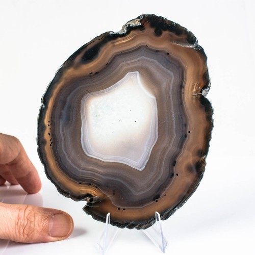 141g 124mm natural agate slice - agate,