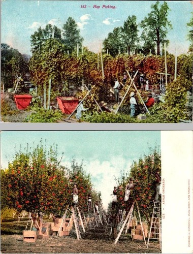 Vintage agriculture - 2~vintage,