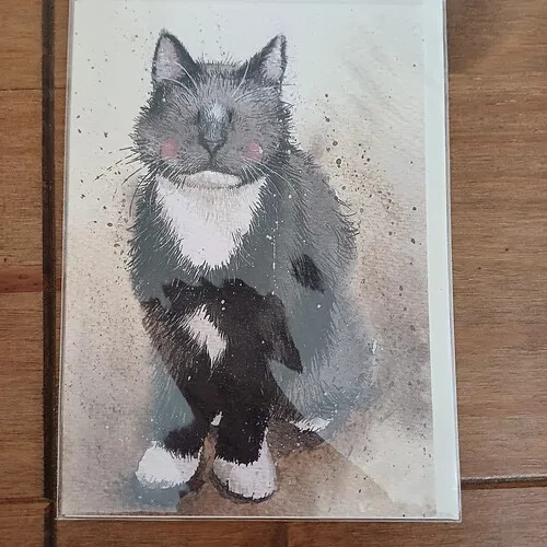Alex clark cat - , black