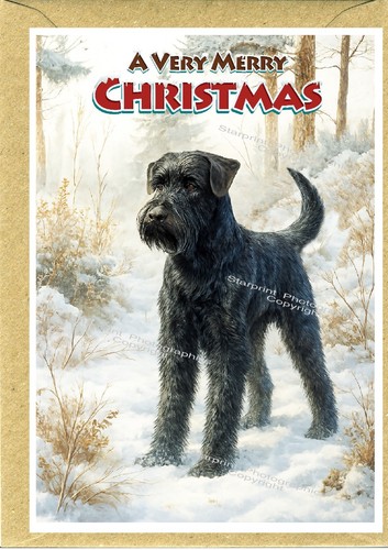 Giant schnauzer dog christmas - dog,