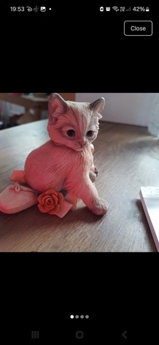 Cat kitten ballet - ballet, shoes