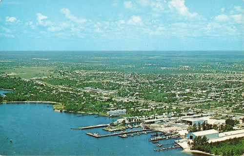 Postcard florida lantana - postcard,