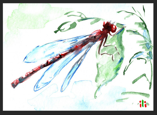 Aceo watercolor print orange - watercolor,