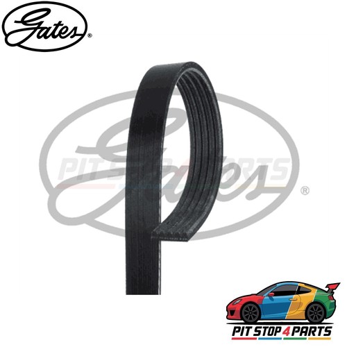 Gates 5pk1113 ribbed - gates, belts