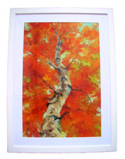 Birch tree Frame Original Oil