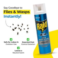 Raid Fly & Wasp Killer Rapid Action Spray 300ml Kill Flaying Insects _IMAGE VARY