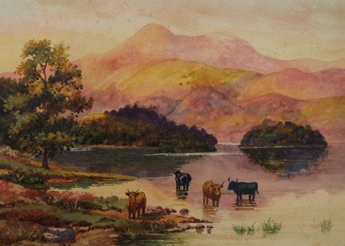 Original watercolour cattle - watercolour,, 'cattle