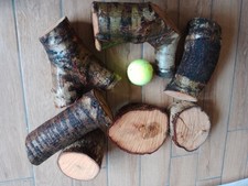 OAK woodturning  blanks,carving,craft wood  7.5kg box,lot27