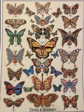 DEAD AND COMPANY BUTTERFLY